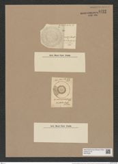 Coscinodiscus patellaeformis Grev. (de-Toni-Nr.: Genus 202, Species 5011) Zeichnungen Sammlung Grunow Nr. 8722 (NHMW-BOT-W0378297)